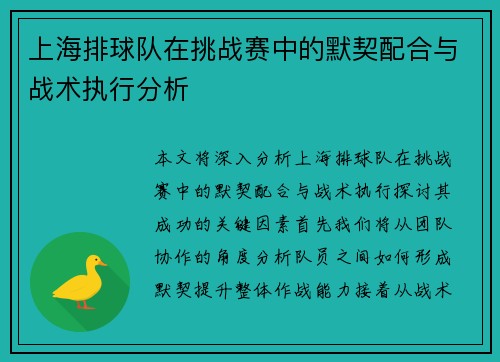 上海排球队在挑战赛中的默契配合与战术执行分析
