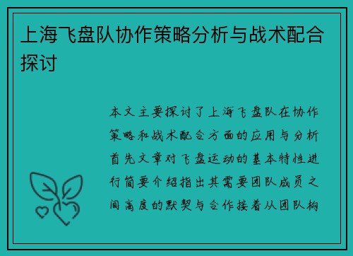上海飞盘队协作策略分析与战术配合探讨